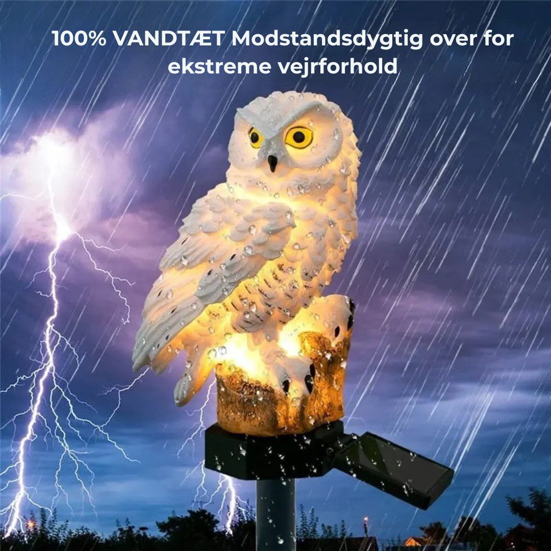 MagicNight LED-ugle