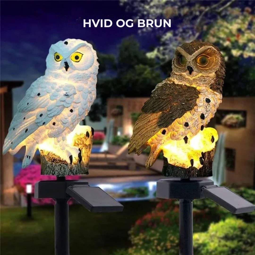 MagicNight LED-ugle