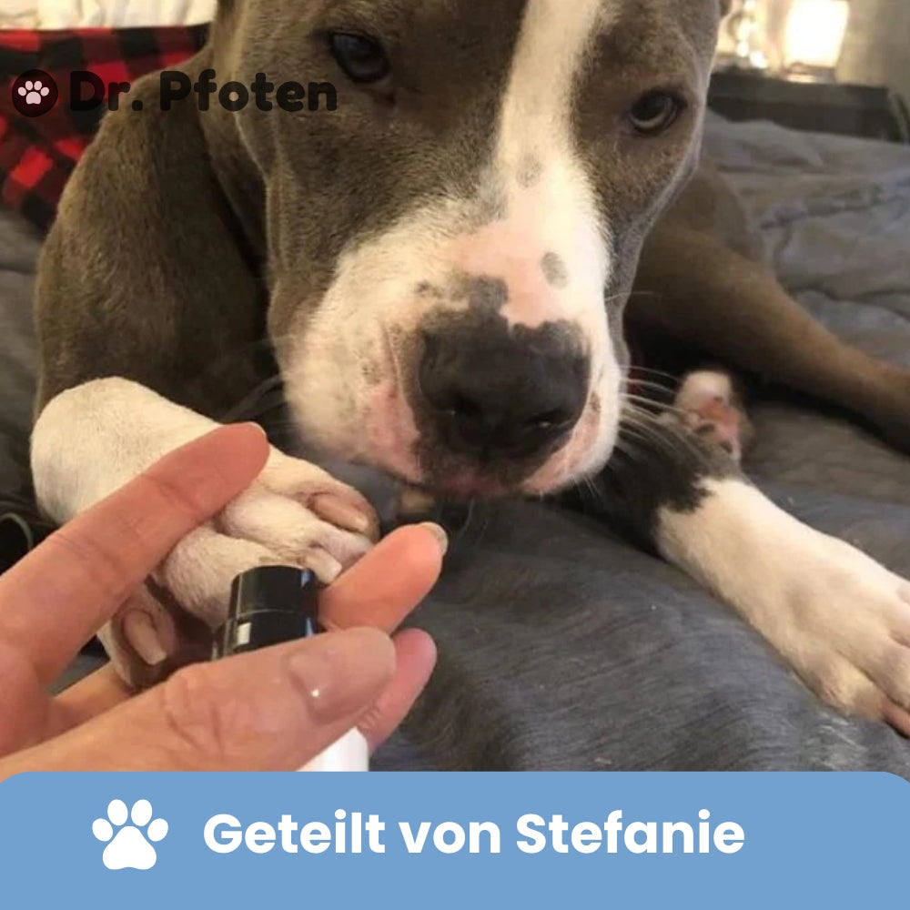 ClawGrinder™ Pro Set - Stressfri klovpleje til hunde