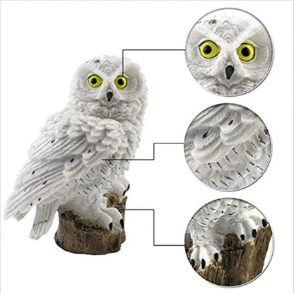 MagicNight LED-ugle